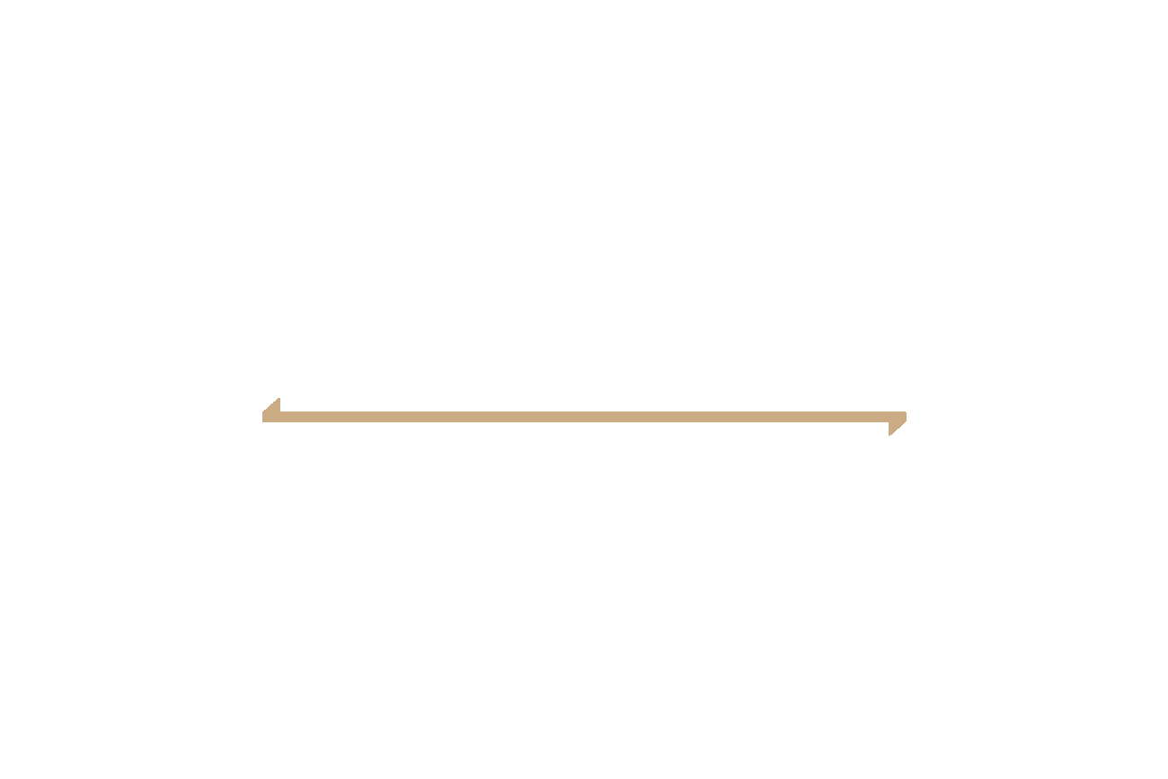 Website Girl